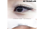 (52) 3D, 4D, 5D,6D Volume Eyelash Extension